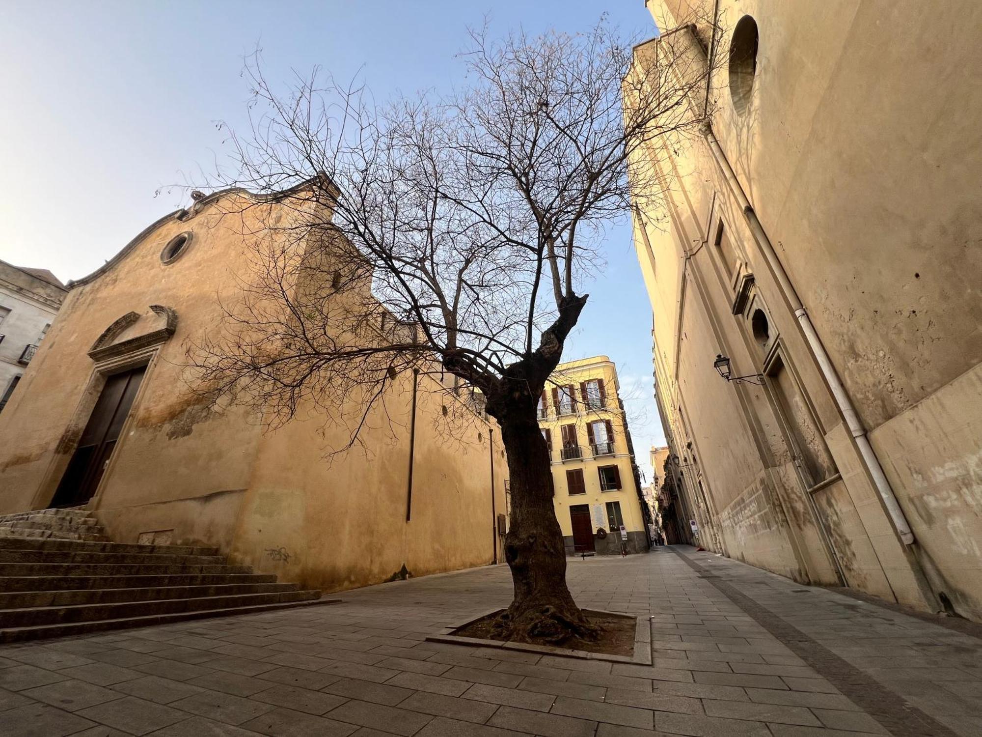 Sant Efisio Apartment Cagliari